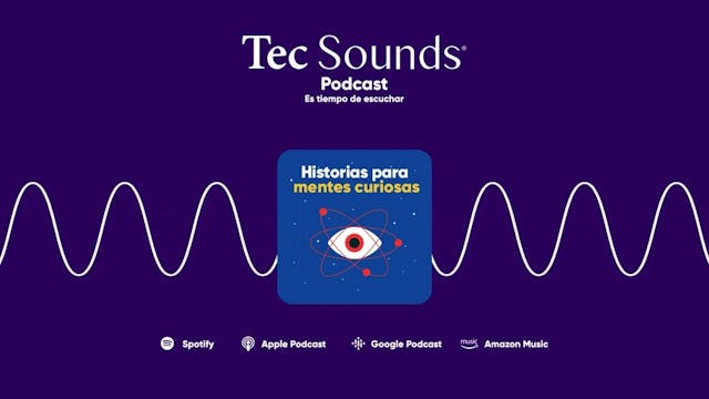 ¿Qué necesita el Metaverso para existir?