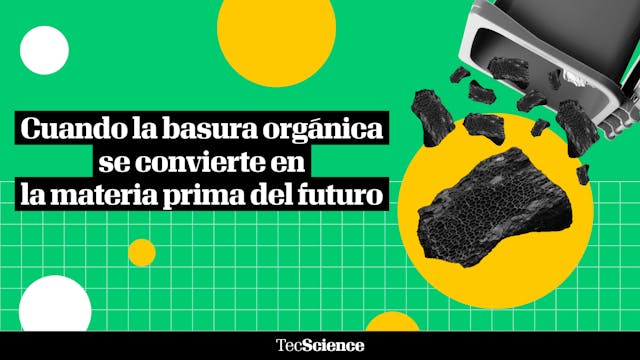 ¿Qué es el biochar, el sorprendente c...