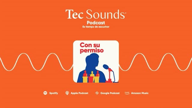 Elecciones 2024: guía rápida para sal...