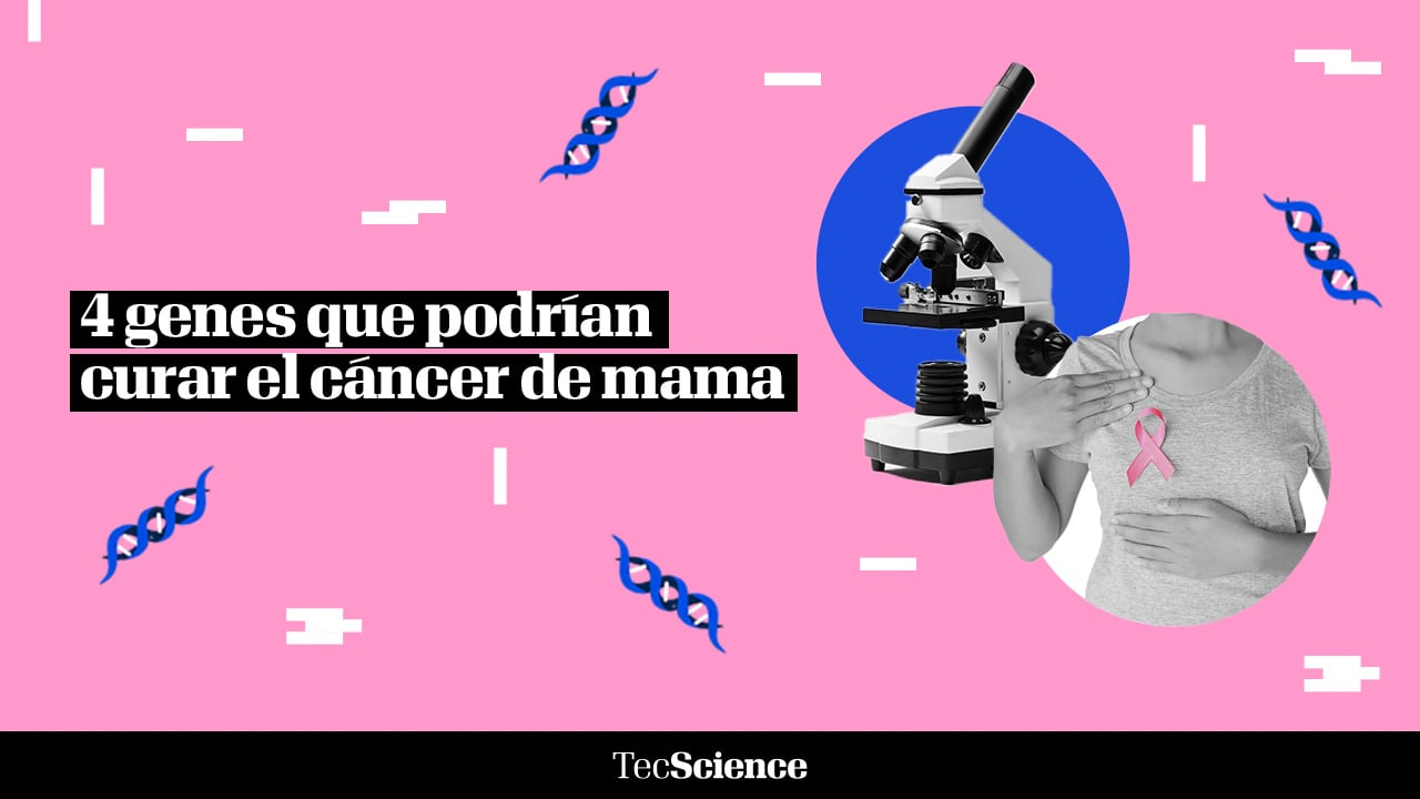 4 genes que podrían curar el cáncer de mama
