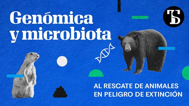 Microbiota al rescate de especies en ...