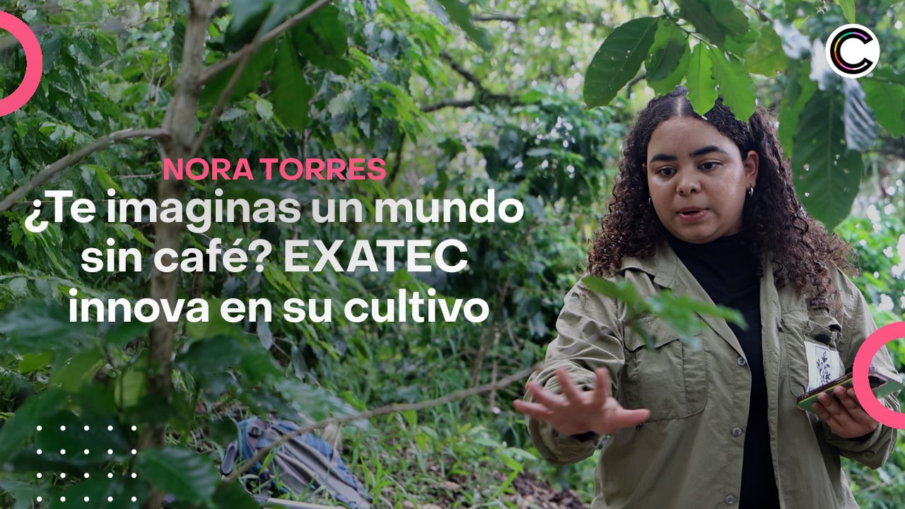 ¿Te imaginas un mundo sin café?