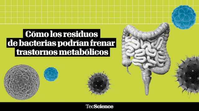 Postbióticos: así ayudan a controlar ...