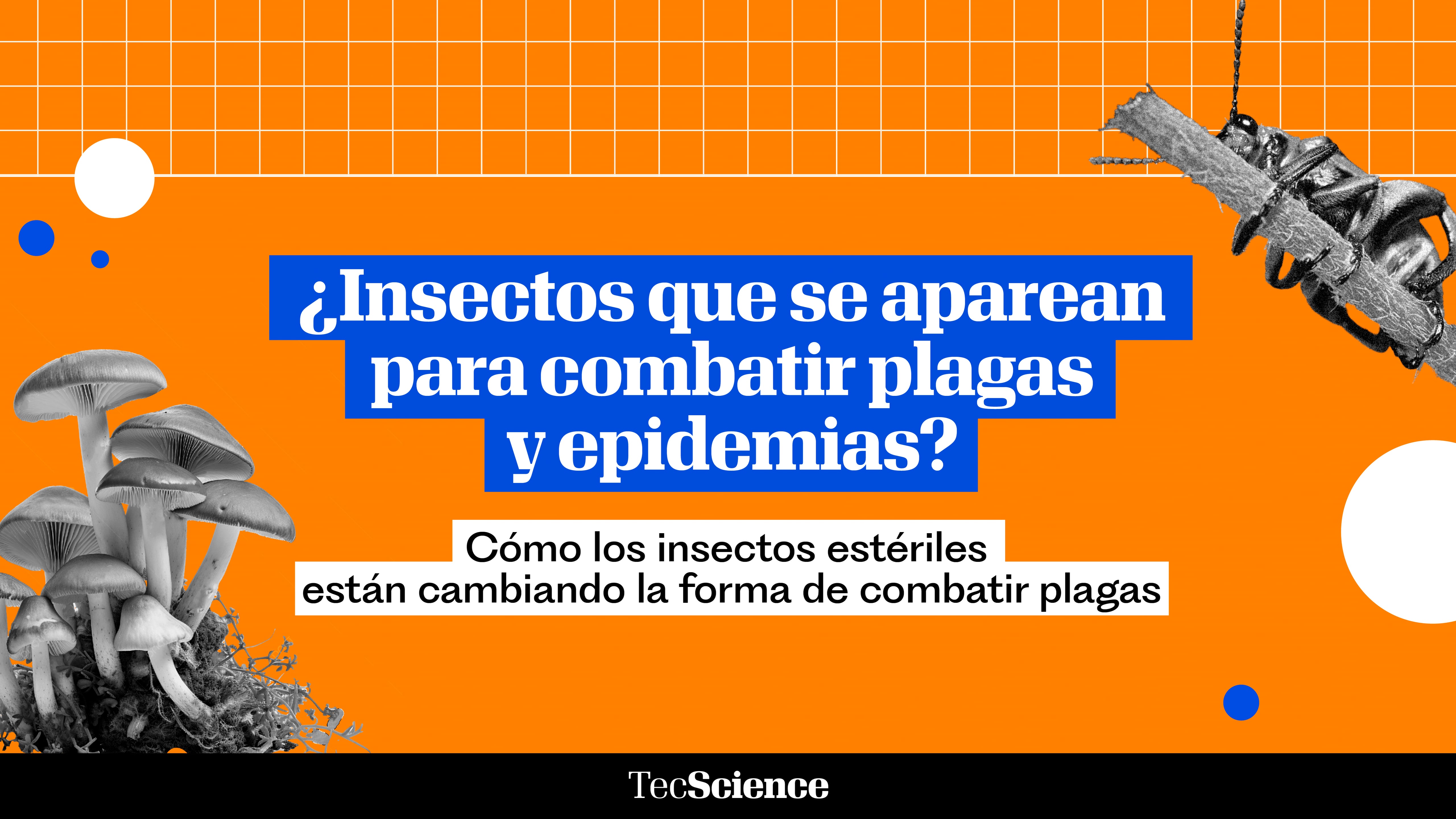¿Qué es y cómo funciona la técnica del insecto estéril para el control de plagas?