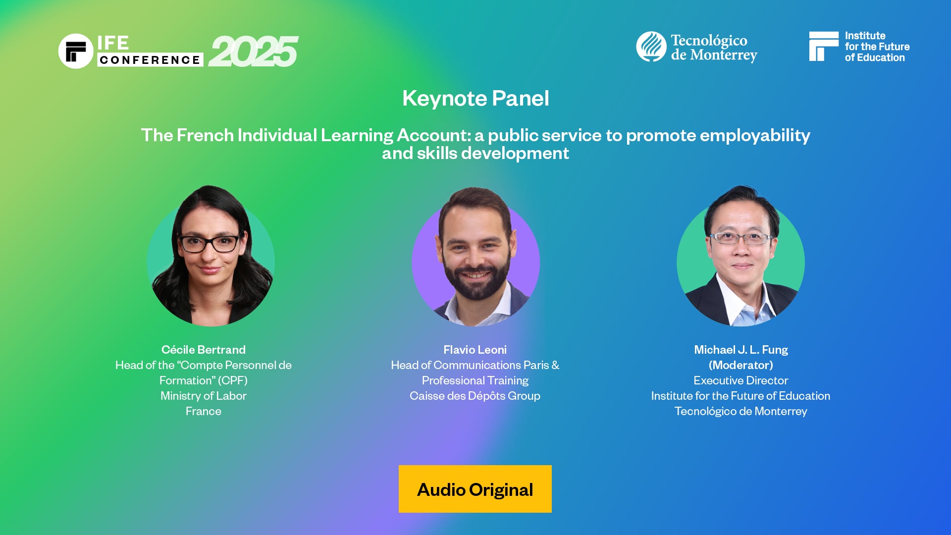 The French Individual Learning Account: a public service to promote employability and skills development