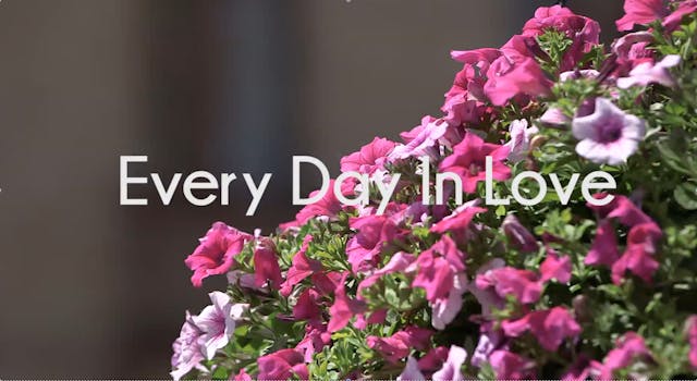 Every Day in Love Program Package