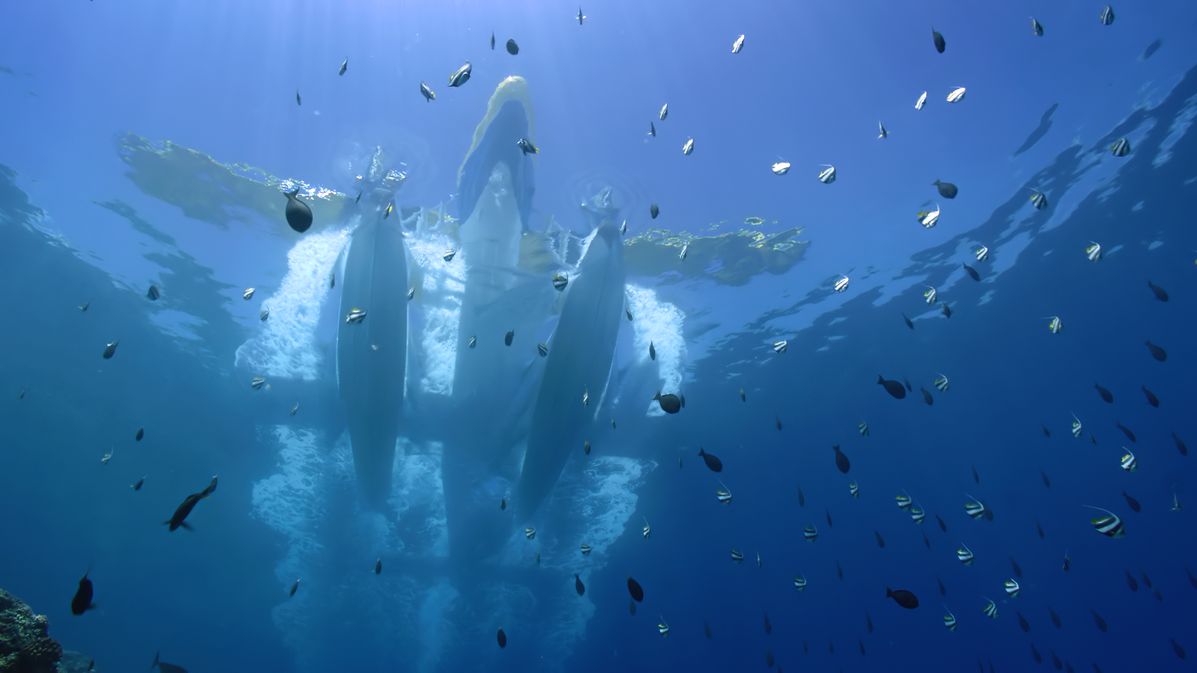 3 Stories in 4 Minutes