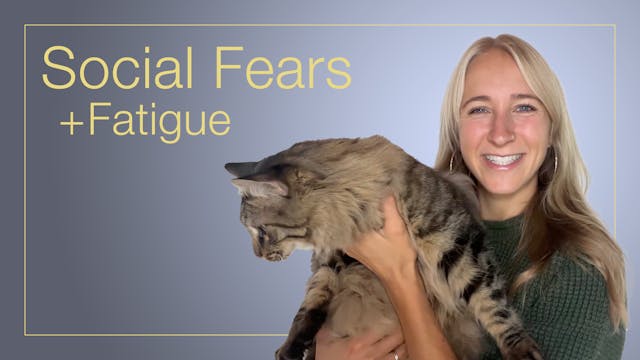 Social Fears and Fatigue