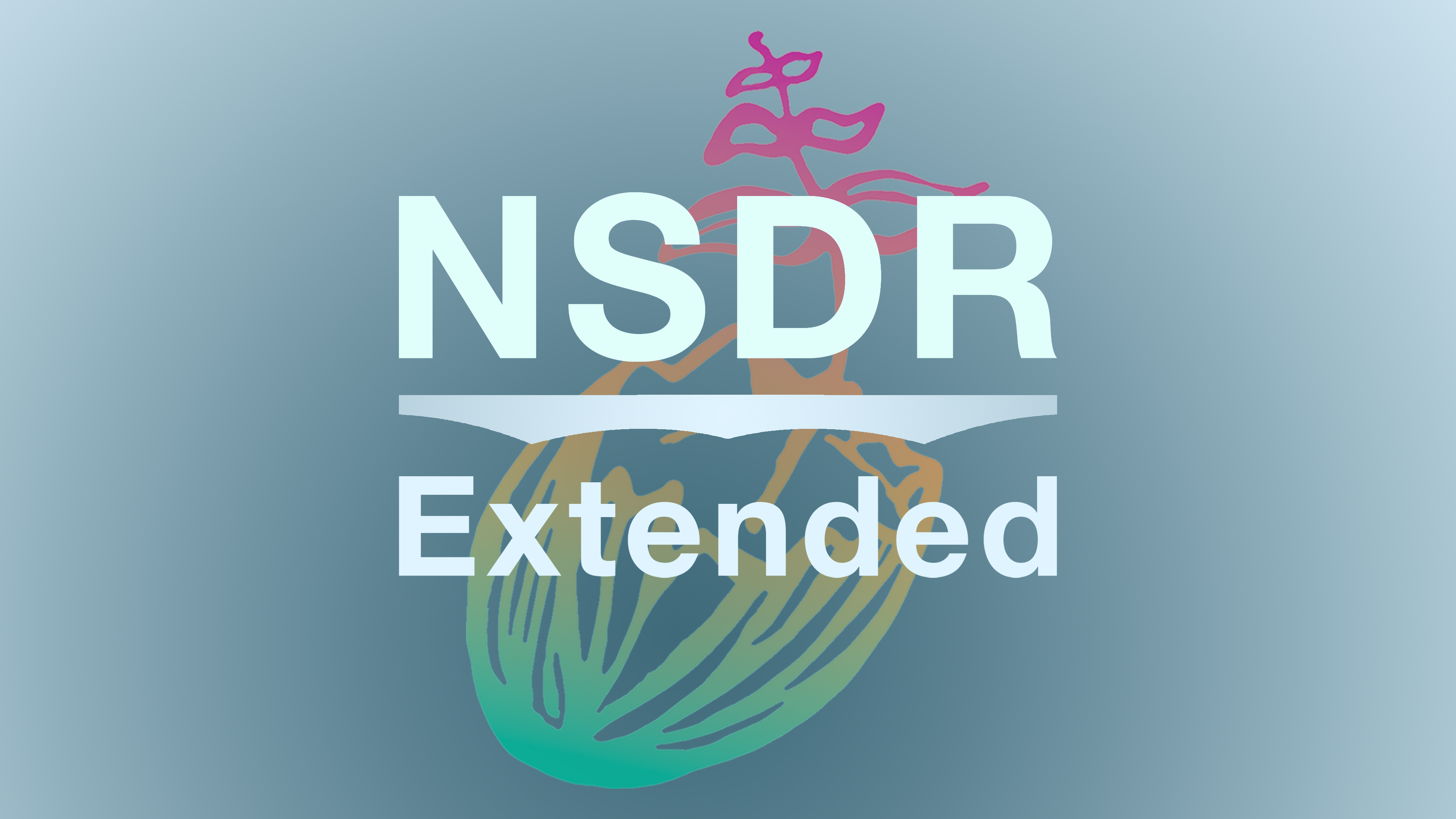 NSDR: 30 minutes