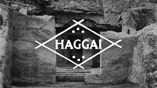 Haggai Pt. 4 - FULL SERVICE