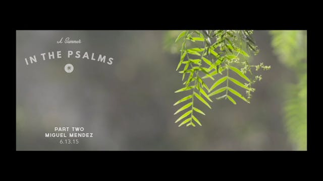 A Summer In the Psalms Pt. 2 - SERMON