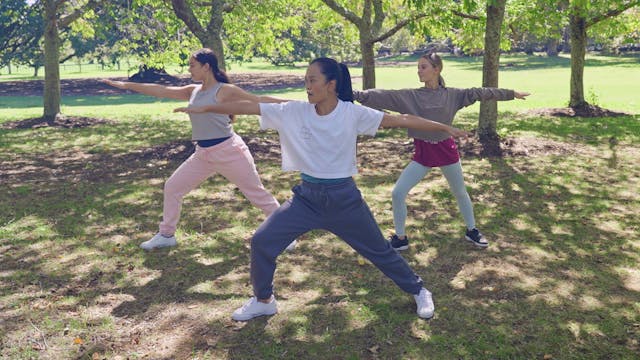 BORN TO MOVE #27 (13-16) Gecko