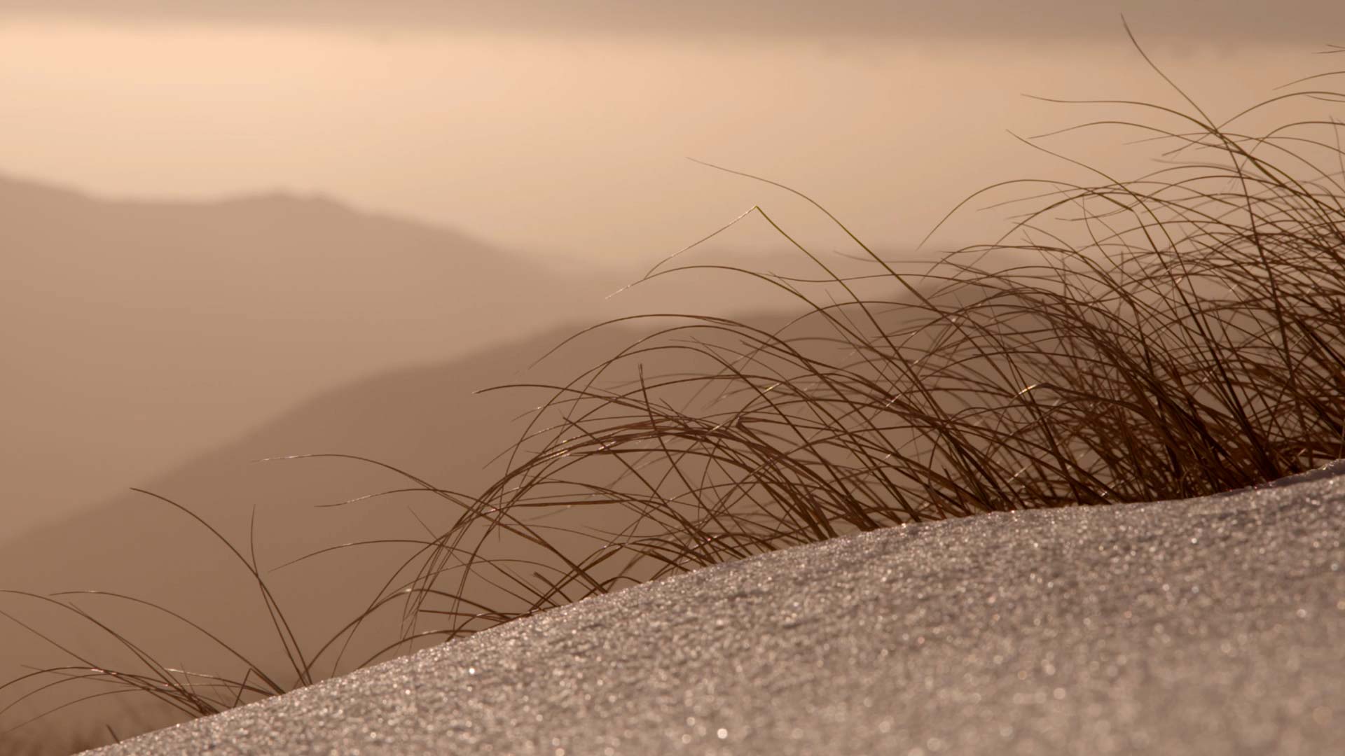 LES MILLS MINDFULNESS Parts of Breath