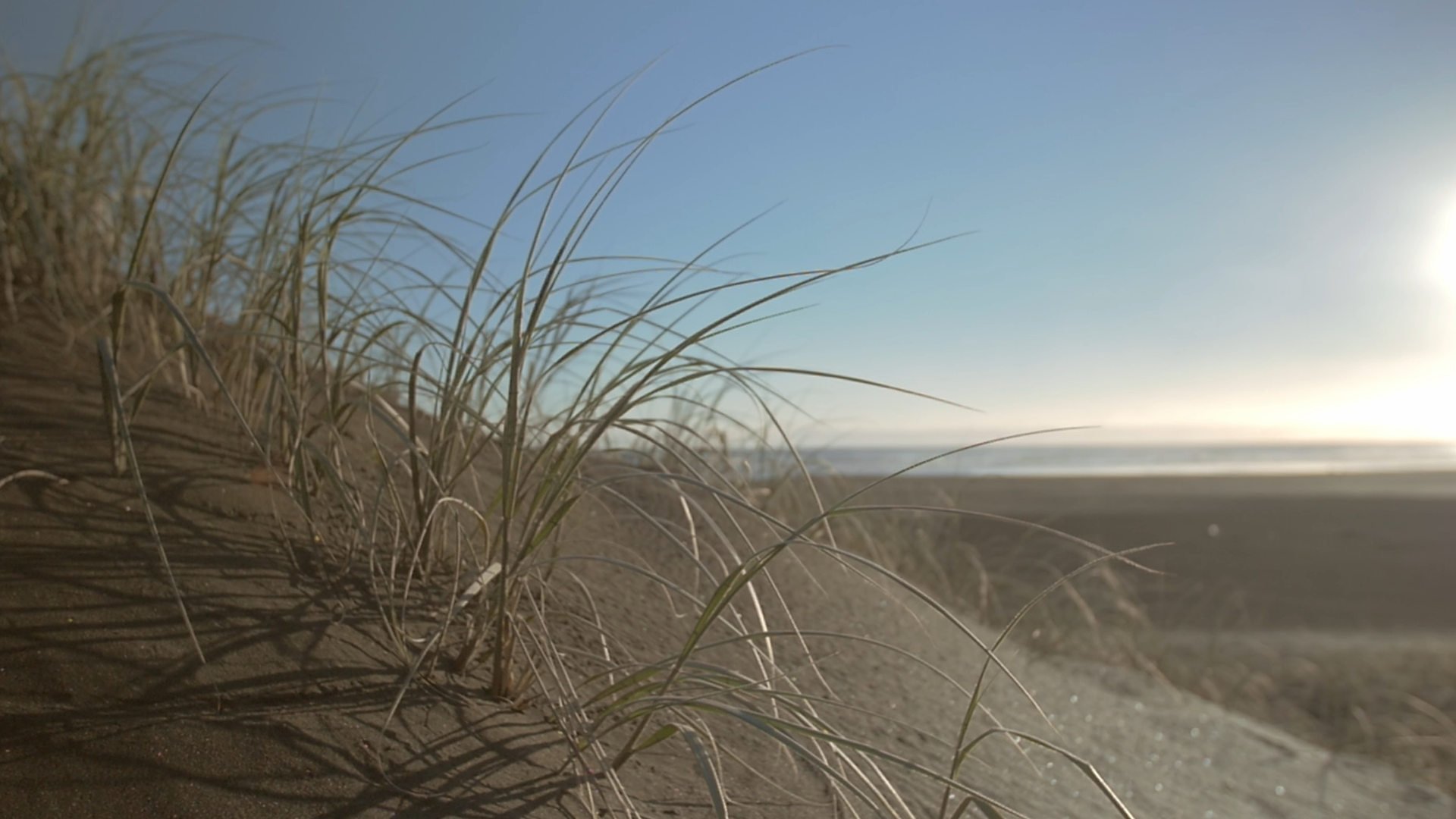 LES MILLS MINDFULNESS Noting Thoughts