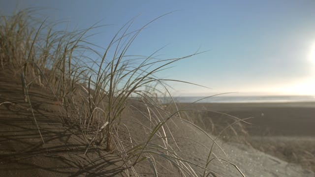 LES MILLS MINDFULNESS Noting Thoughts