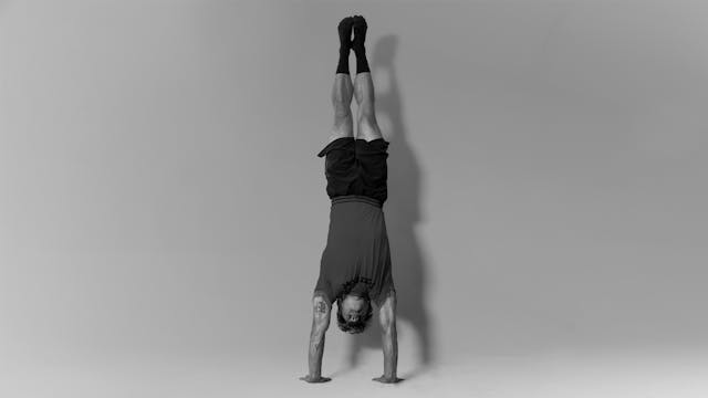 BAS #07 Handstand Wildcard