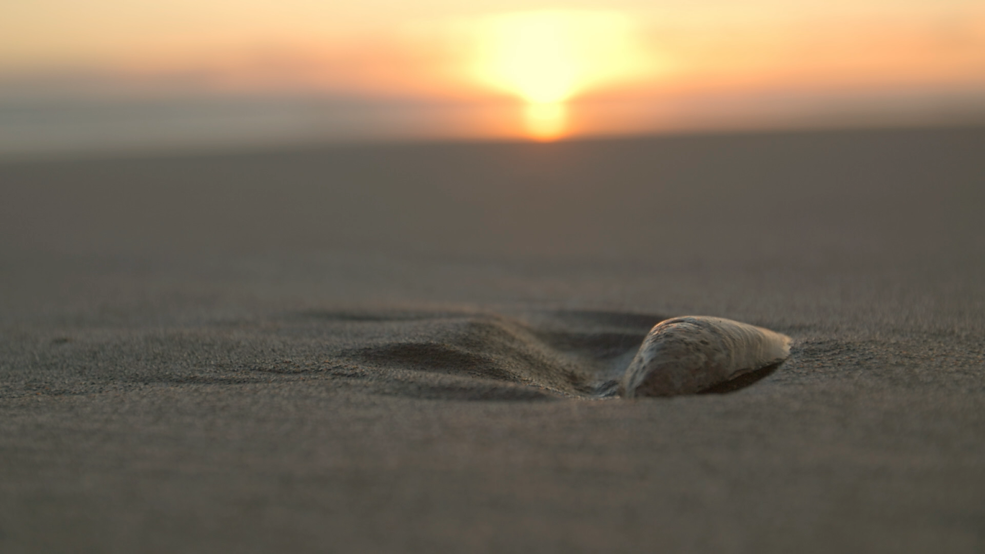 LES MILLS MINDFULNESS Mindfulness of Breathing