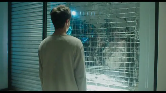 Permanent Green Light - English version