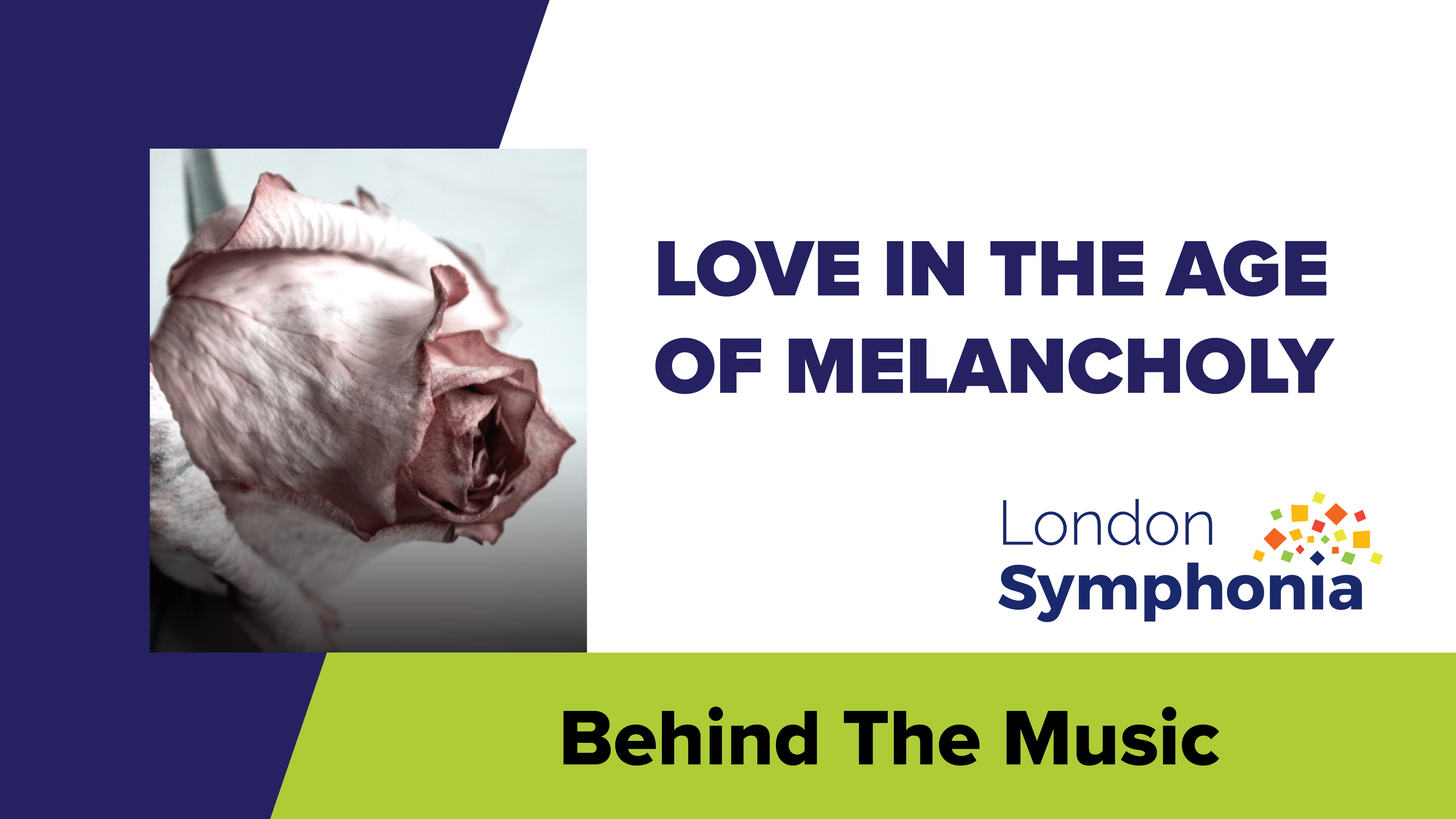 Interviews with Guest Artists