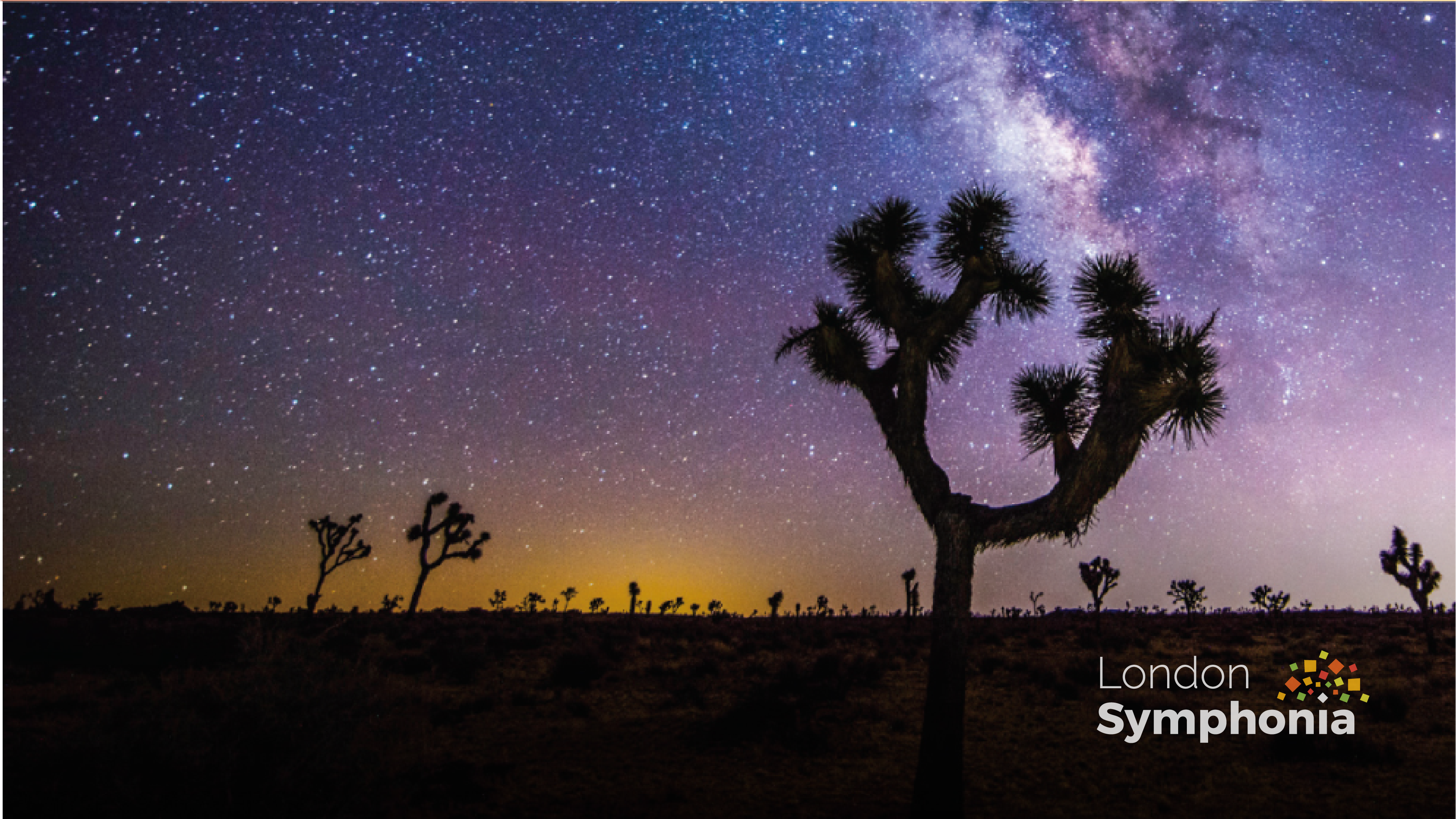 Beneath a Summer Sky