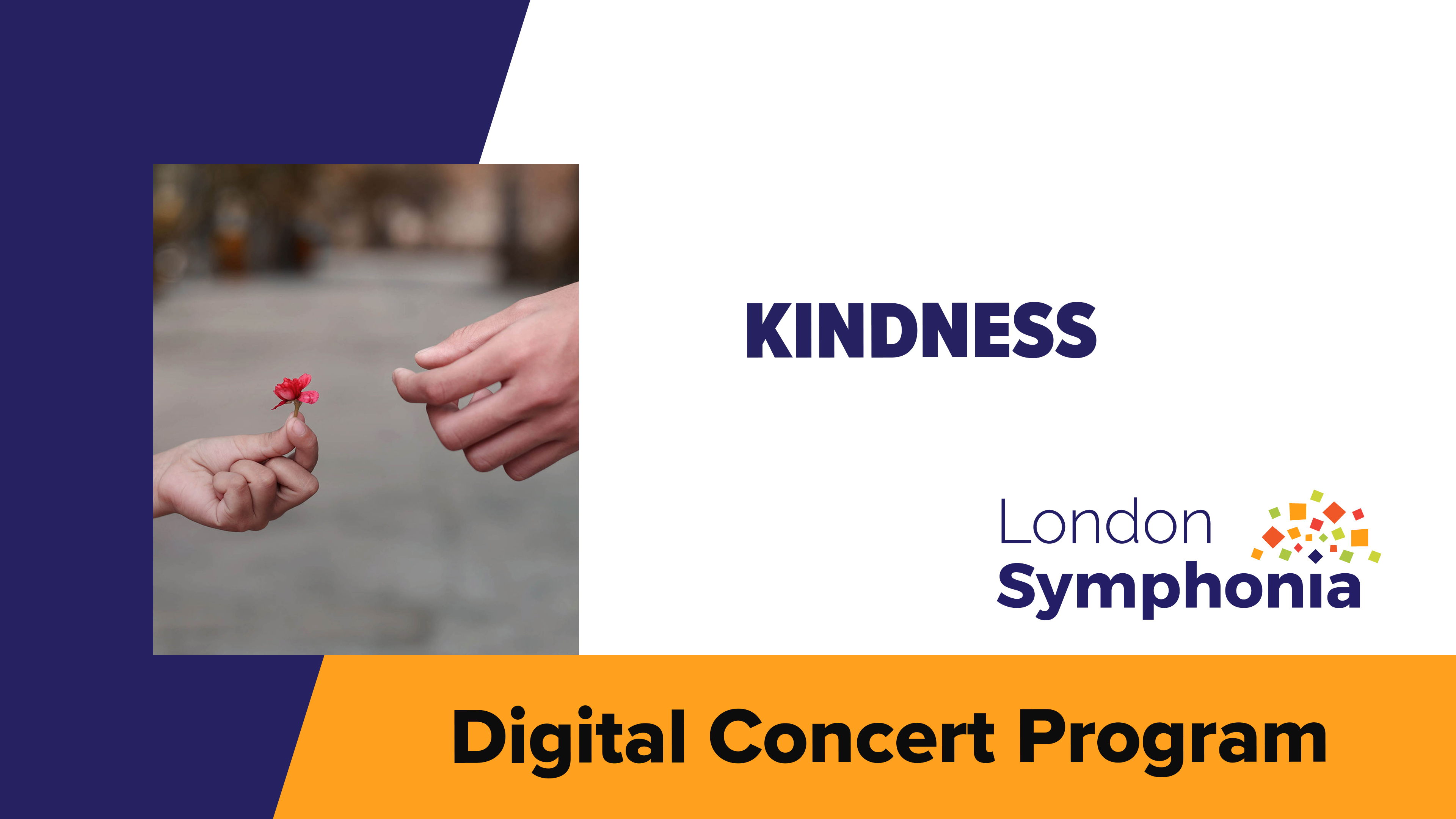 Enrich Your Concert Experience