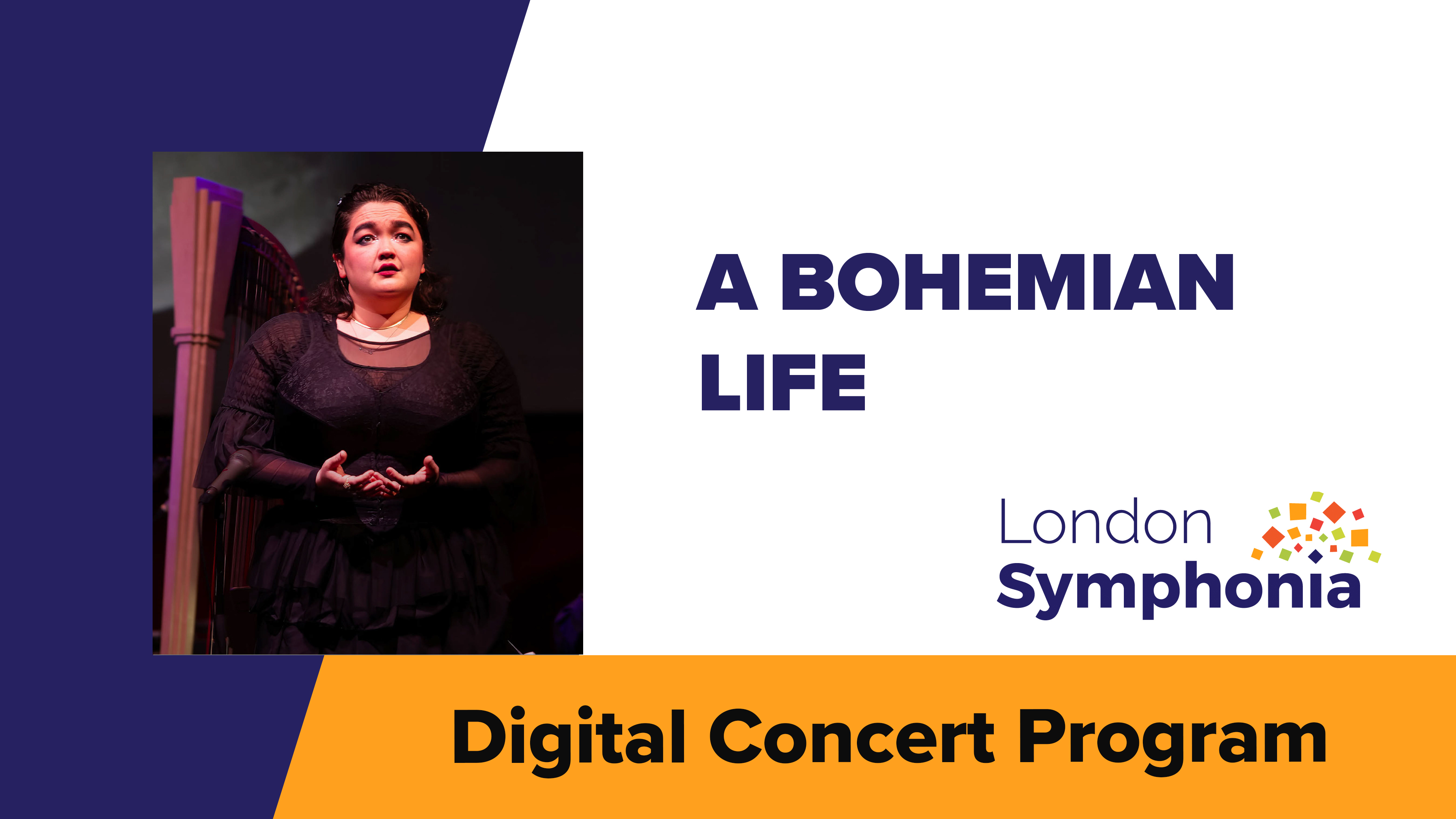 Enrich Your Concert Experience