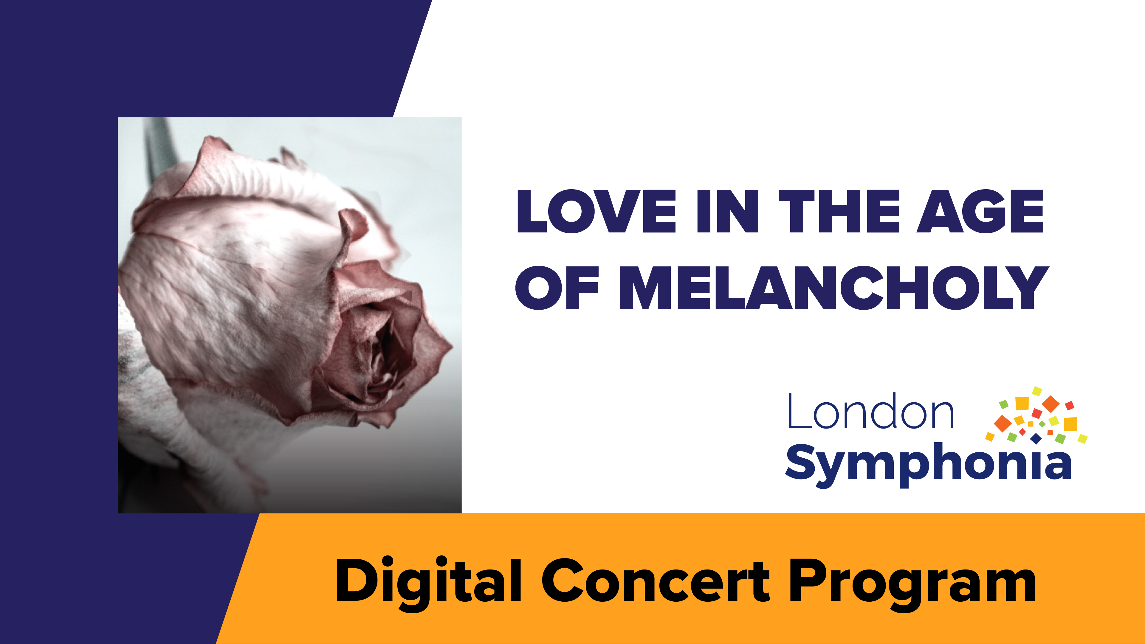 Enrich Your Concert Experience