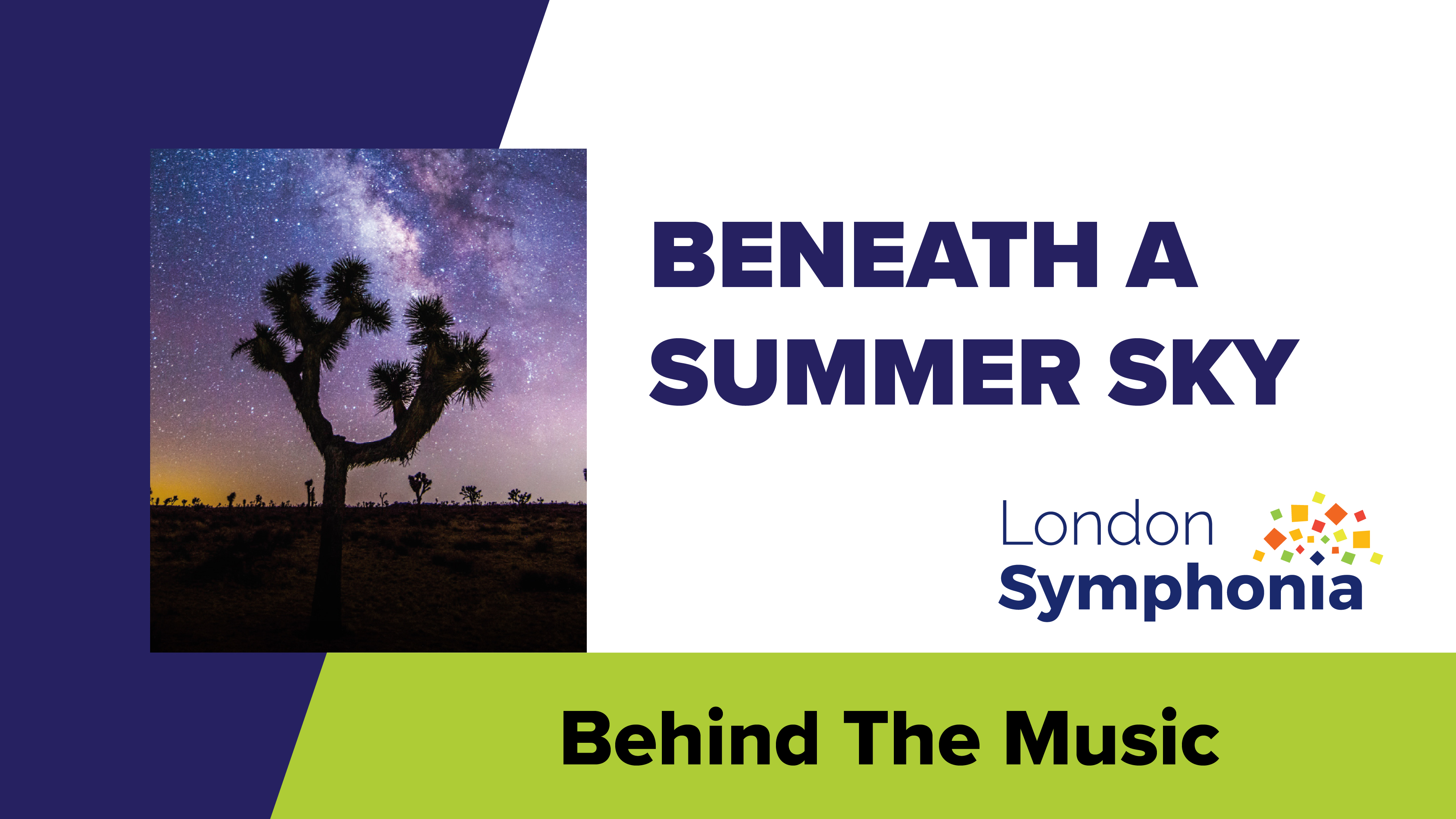 Interviews with Guest Artists