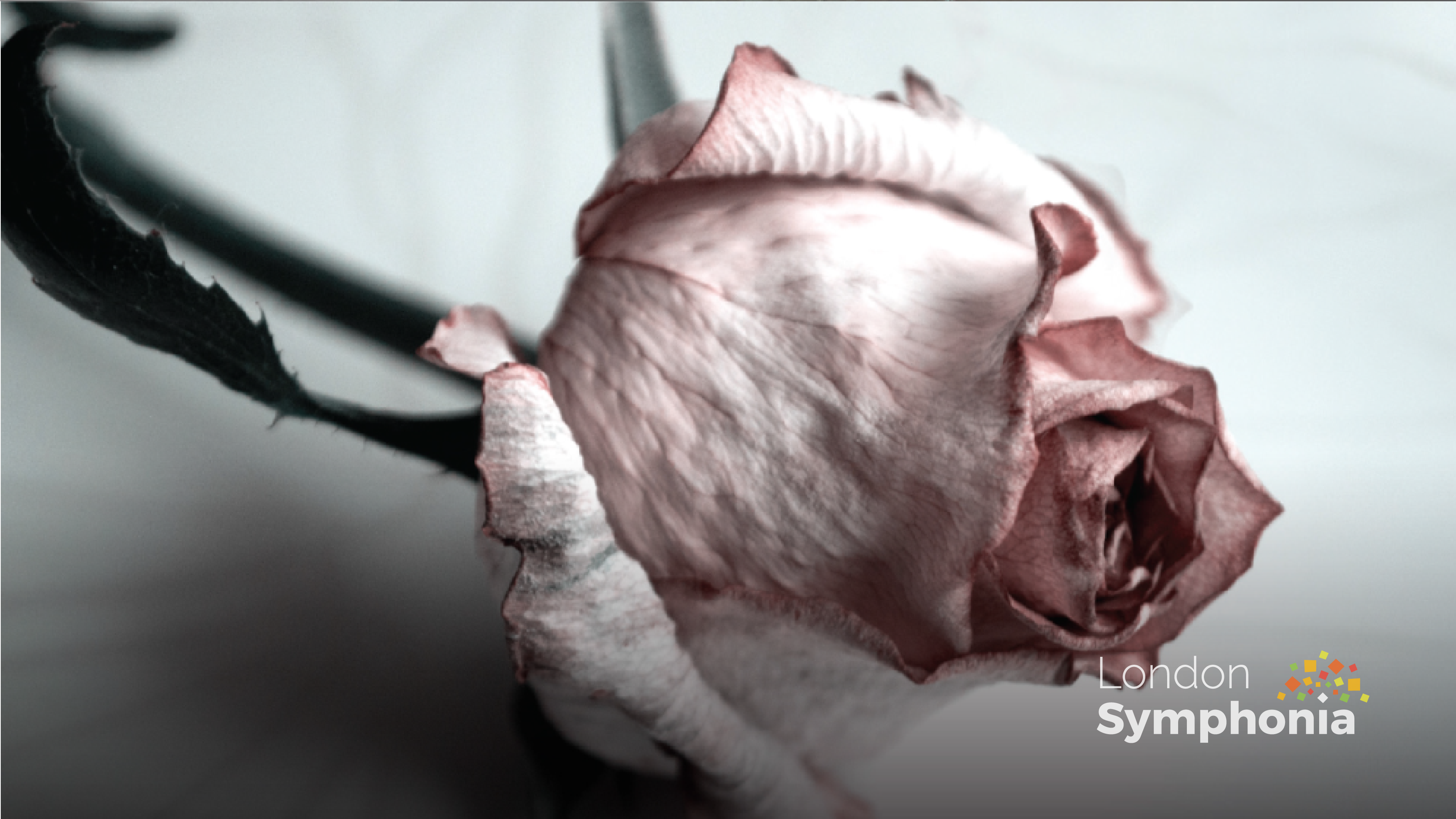 Love in the Age of Melancholy