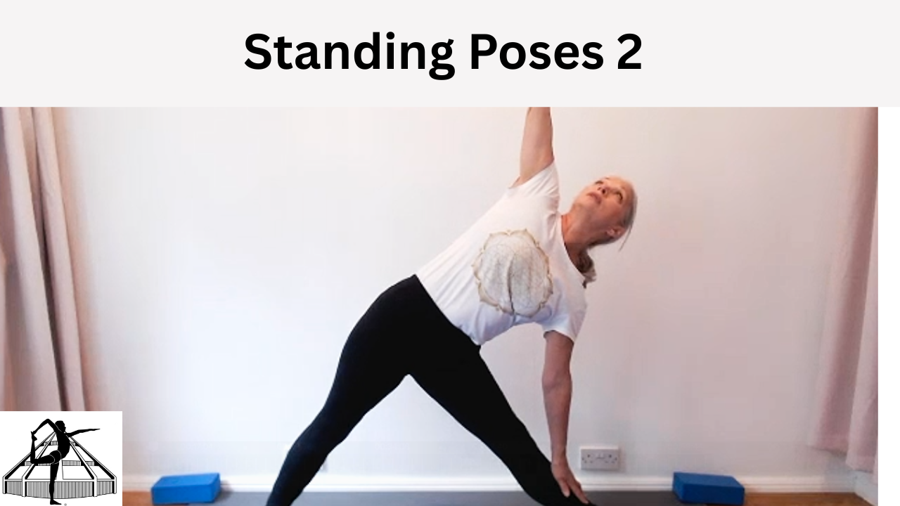 Standing Poses Class 2