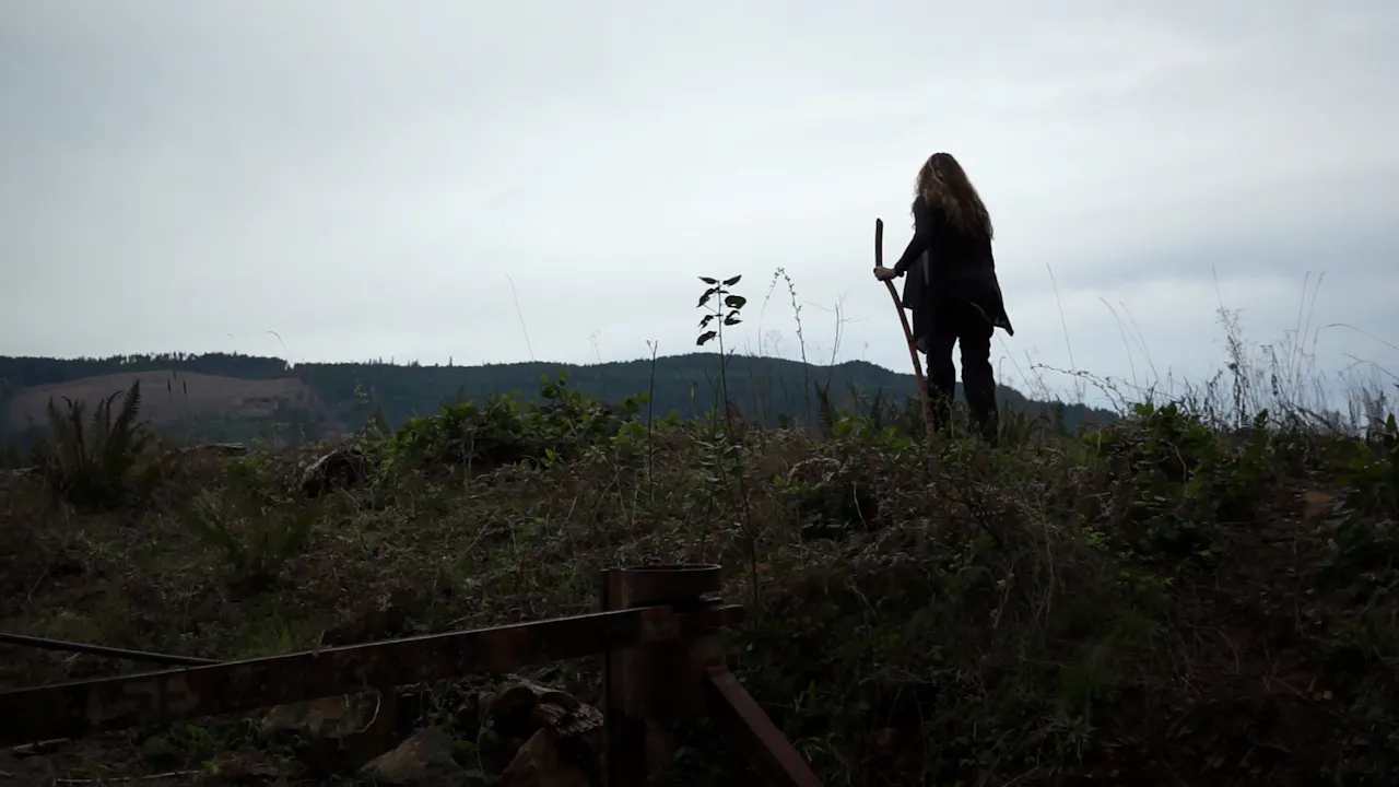 No Tree Will Fall