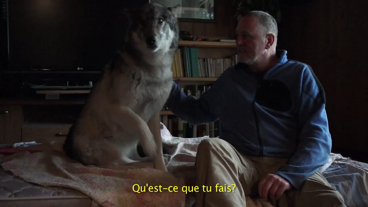 Wolfman