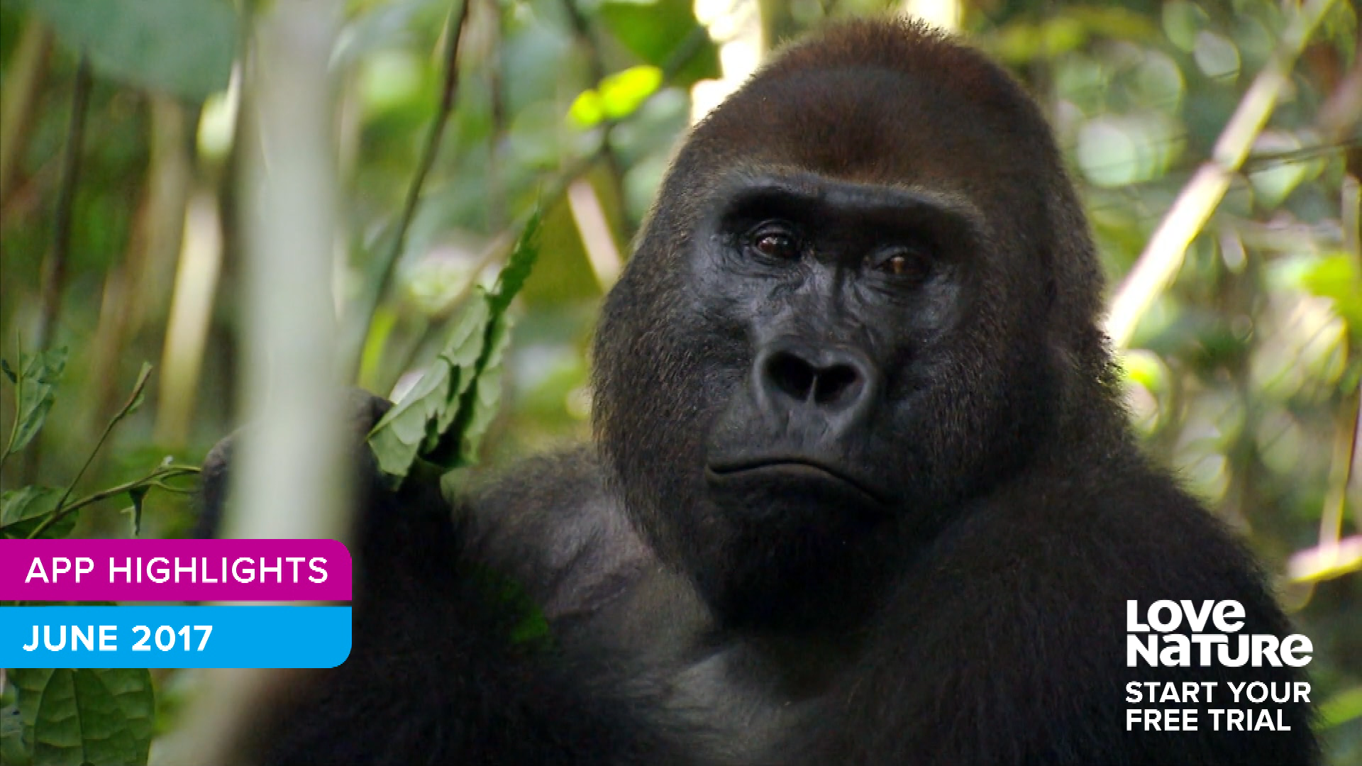 Love Nature June Highlights