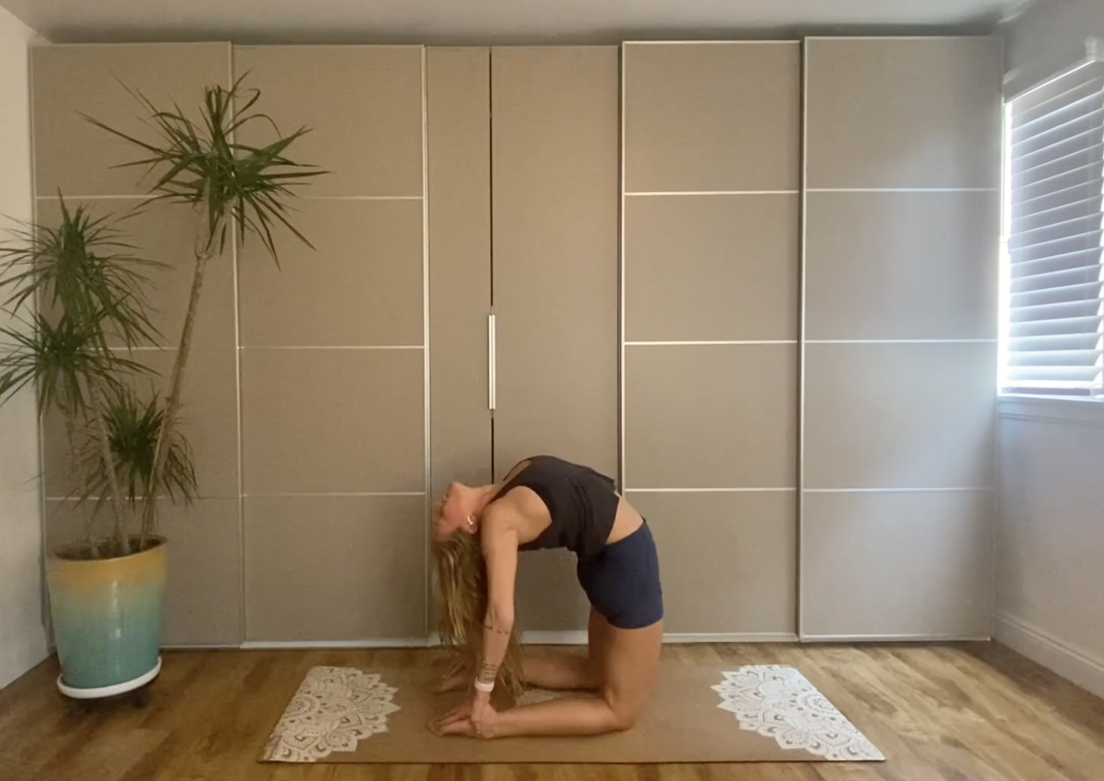 15 Minute Lower Back Stretching 