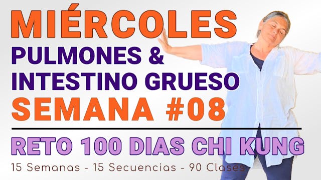 #045 MIÉRCOLES Semana 08: Pulmones, Cólon y Wei Qi - RETO 100 Días de ChiKung