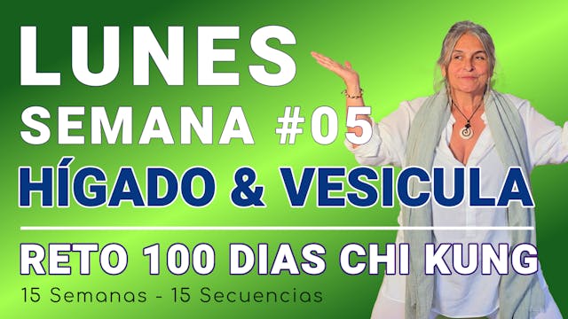 #025 Semana 05 LUNES: Hígado & Vesicula - RETO 100 Dias