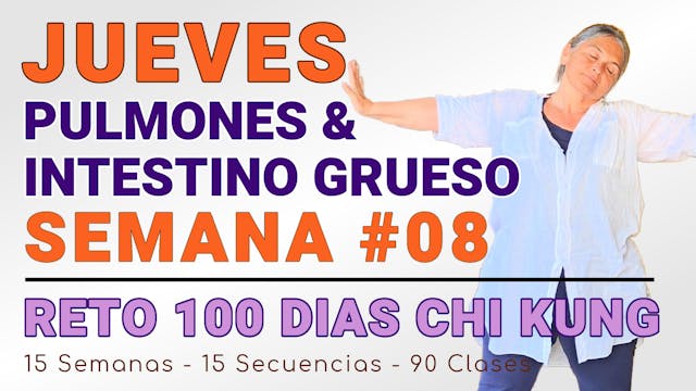 #046 JUEVES Semana 08: Pulmones, Cólon y Wei Qi - RETO 100 Días de ChiKung