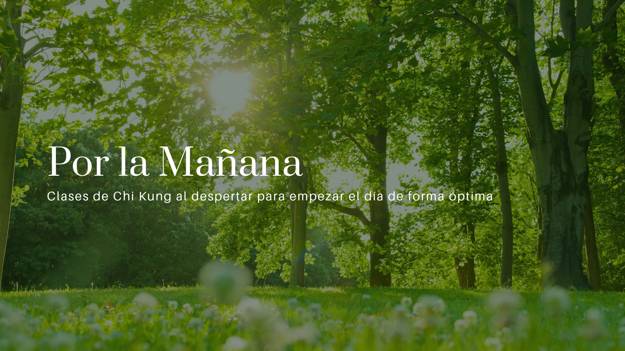 Chi Kung por la Mañana