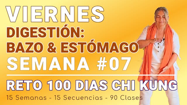 #041 VIERNES Semana 07: Digestón - Bazo & Estómago - RETO 100 Dias