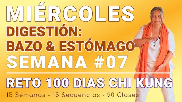#039 MIÉRCOLES Semana 07: Digestón - Bazo & Estómago - RETO 100 Dias