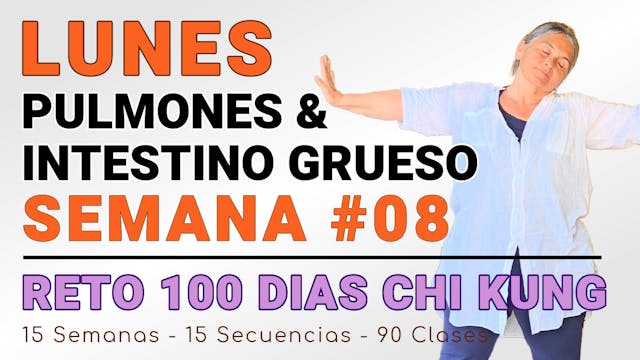 #043 LUNES Semana 08: Pulmones, Cólon y Qi Protector - RETO 100 Días de Chi Kung