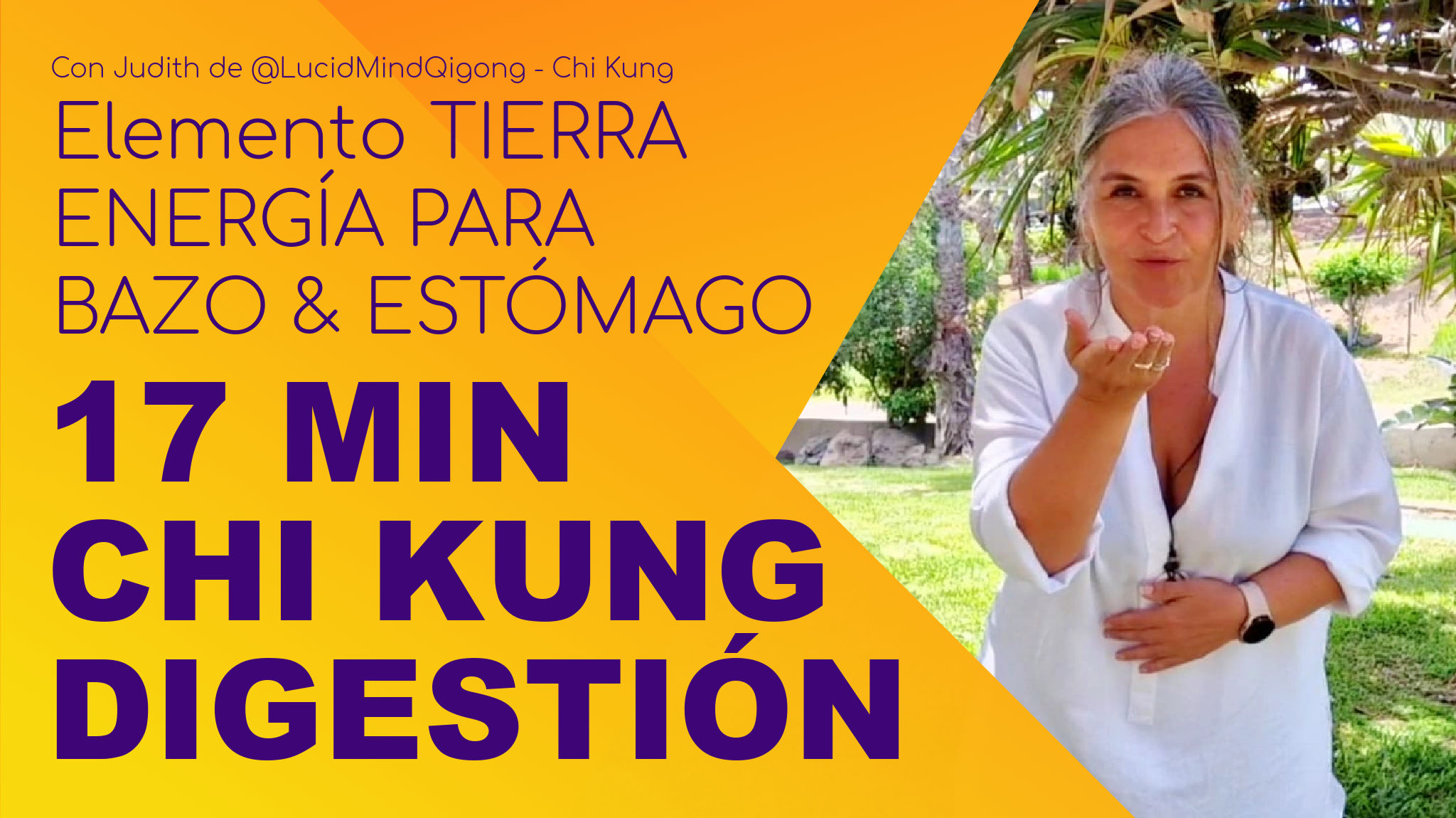 Chi Kung Digestión