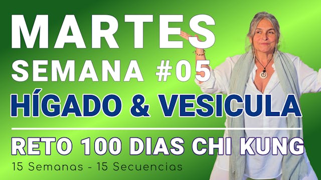 #026 Semana 05 MARTES: Hígado & Vesicula - RETO 100 Dias