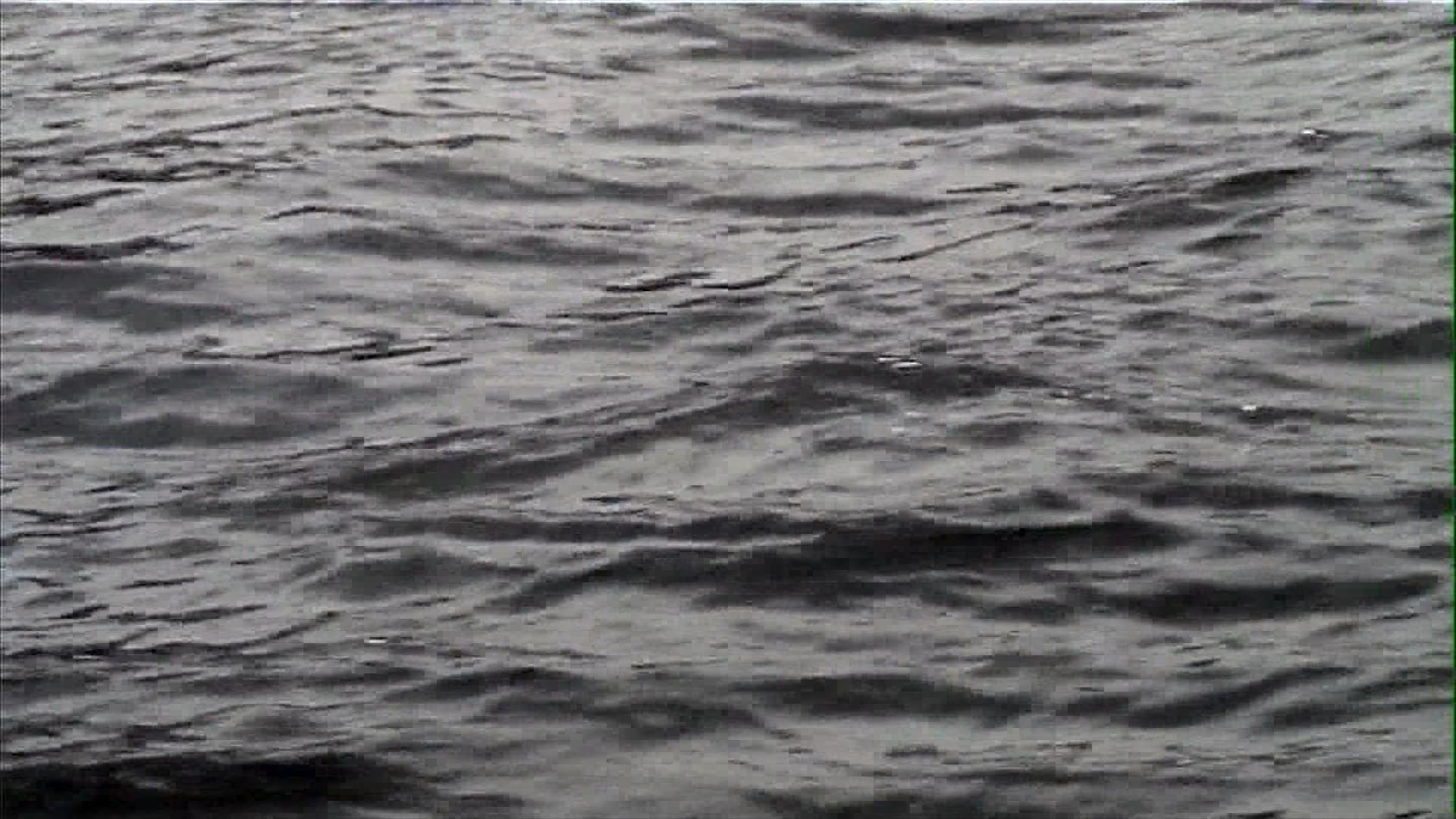 Nobel Prize Winner Richard Ernst