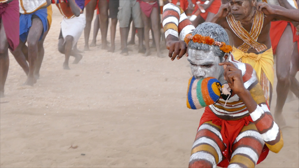 Ḻuku Ngärra: The Law of the Land (HOME LICENSE)