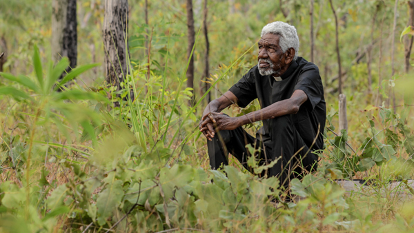 Ḻuku Ngärra: The Law of the Land (HOME LICENSE)