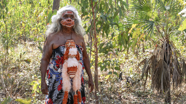 Ḻuku Ngärra: The Law of the Land (HOME LICENSE)