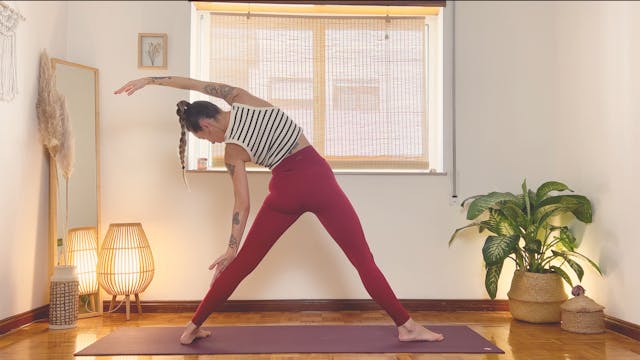 Yoga Vibrante 