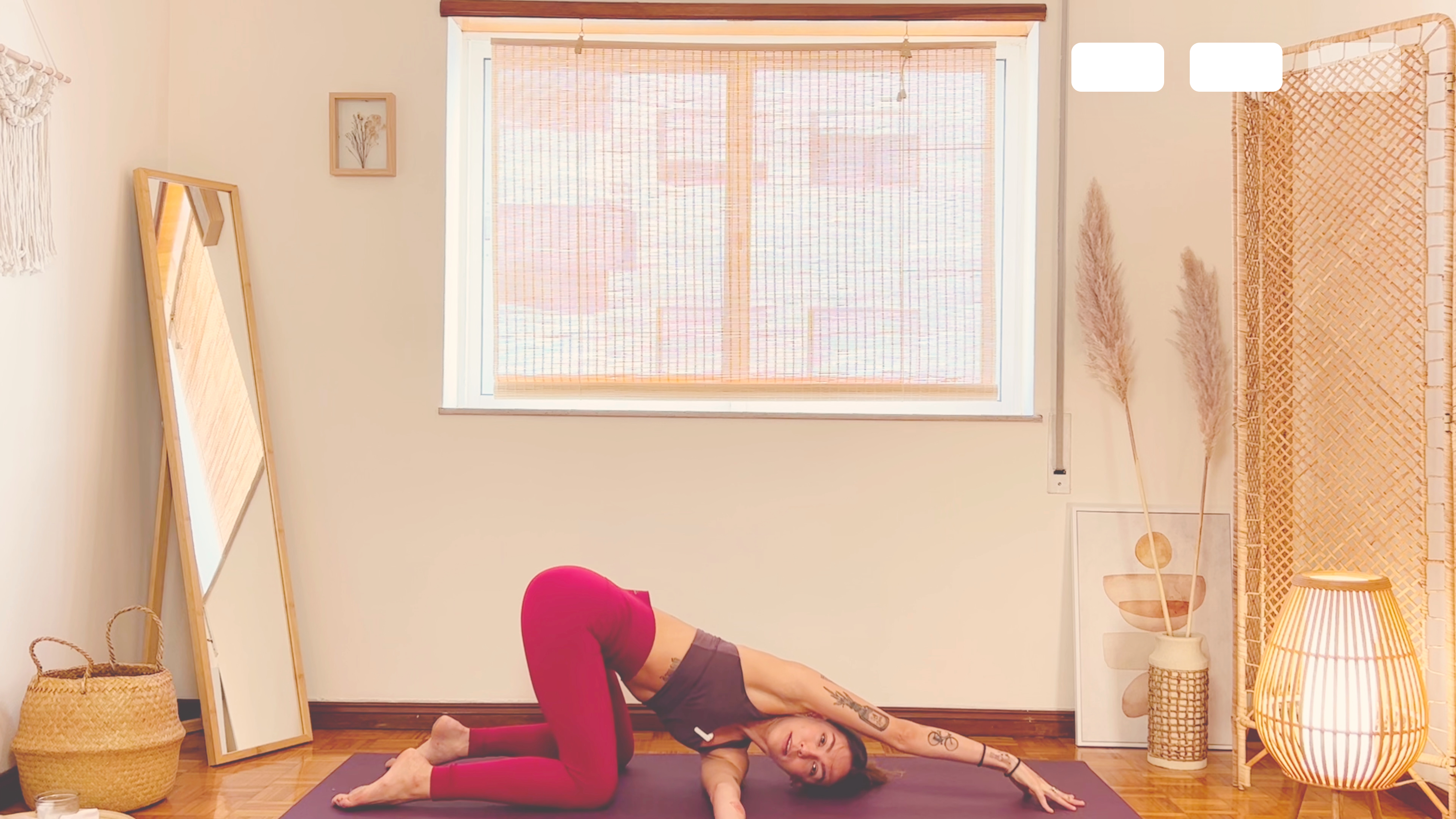 Força e Mobilidade 🐝