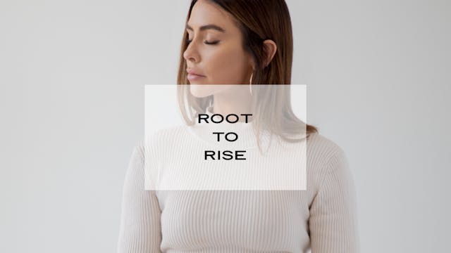 Root to Rise